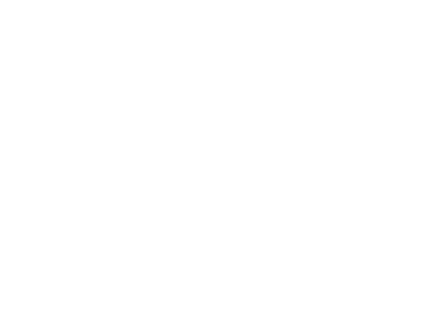 Bolt - Un eroe a quattro zampe