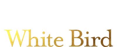 Wonder - White Bird