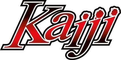 Gyakkyou Burai Kaiji: Ultimate Survivor