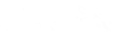 Falling for Christmas