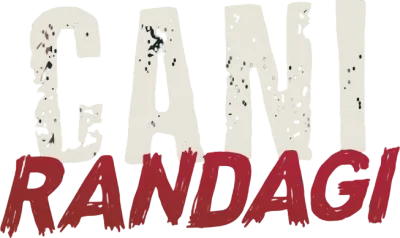 Cani randagi