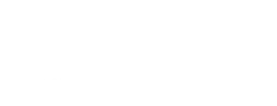 Winter Spring Summer or Fall