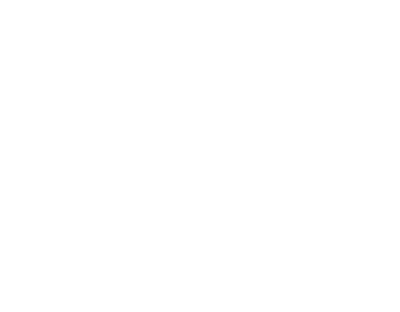Holiday