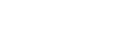 The Wedding Year